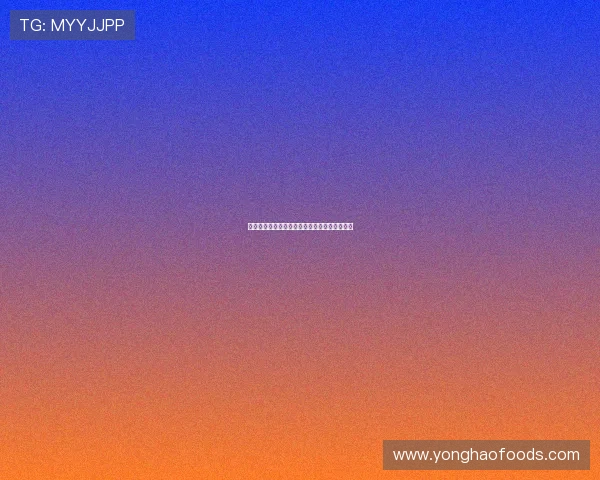 孔帕尼回应是否引援问题强调专注提升球队表现