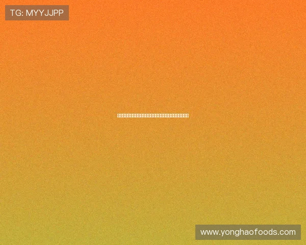 法甲体育总监的职责与挑战：如何打造顶级球队与未来发展战略