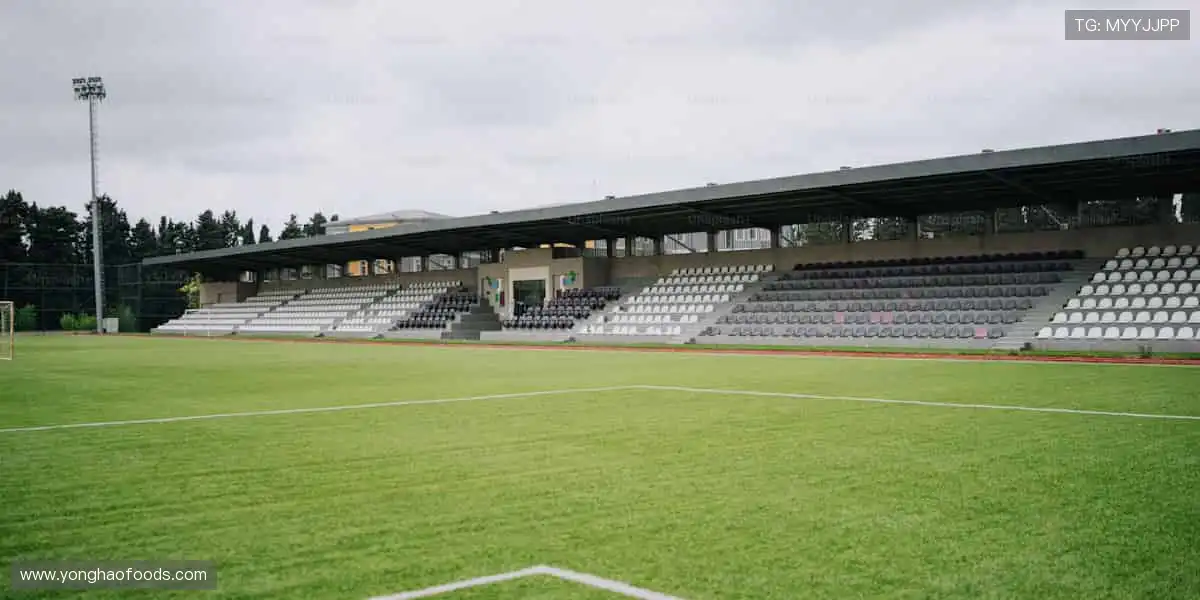 全球同游，共创游戏行业新生态！🌍